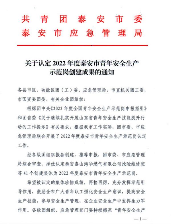 安全生产 青年先行 | 祝贺一滕新材料二车间荣获“泰安市青年安全示范岗”